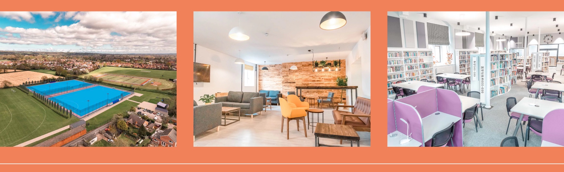 1747706552681170.jpg 1747706552681170.jpg